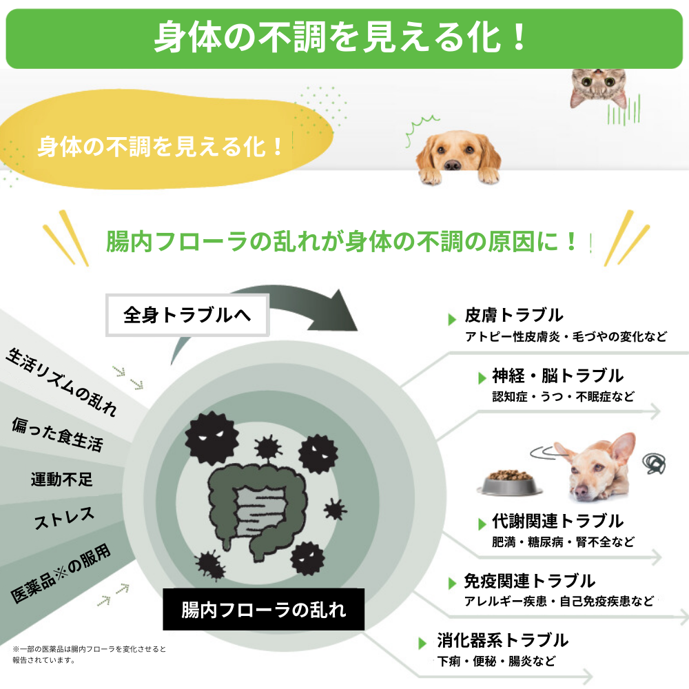 犬、猫用の腸内フローラ検査キット【PiTPET】 | 遺伝子検査・腸内環境